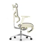 Эргономичное кресло Expert-2 Sail