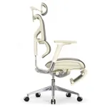 Эргономичное кресло Expert-2 Sail