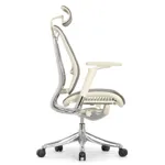 Эргономичное кресло Expert-2 Spring