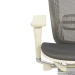 Эргономичное кресло Expert-2 Spring