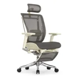 Эргономичное кресло Expert-2 Spring