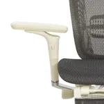 Эргономичное кресло Expert-2 Spring