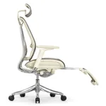 Эргономичное кресло Expert-2 Spring