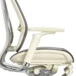 Эргономичное кресло Expert-2 Spring