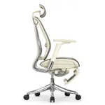 Эргономичное кресло Expert-2 Spring