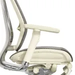 Эргономичное кресло Expert-2 Spring