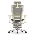 Эргономичное кресло Expert-2 Spring