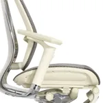 Эргономичное кресло Expert-2 Spring