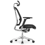 Эргономичное кресло Expert-2 Spring