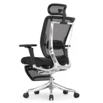 Эргономичное кресло Expert-2 Spring