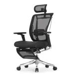 Эргономичное кресло Expert-2 Spring