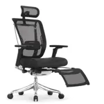 Эргономичное кресло Expert-2 Spring