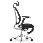 Эргономичное кресло Expert-2 Spring