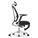 Эргономичное кресло Expert-2 Spring