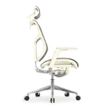 Эргономичное кресло Expert-2 Star