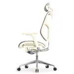 Эргономичное кресло Expert-2 Star