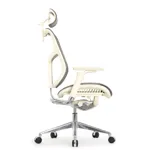 Эргономичное кресло Expert-2 Star