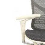 Эргономичное кресло Expert-2 Star