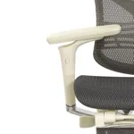 Эргономичное кресло Expert-2 Star