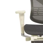 Эргономичное кресло Expert-2 Star