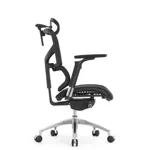 Эргономичное кресло Expert-2 Sail Art