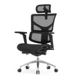 Эргономичное кресло Expert-2 Sail Art