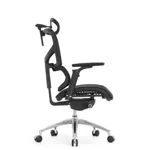 Эргономичное кресло Expert-2 Sail Art