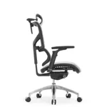 Эргономичное кресло Expert-2 Sail Art