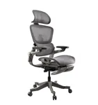 Эргономичное кресло HINOMI PRO V2