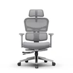 Эргономичное кресло FoxGear  NETZ модель X