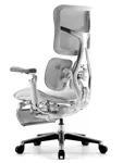 Эргономичное кресло SIHOO Doro S300 с подножкой (Scala)