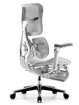 Эргономичное кресло SIHOO Doro S300 с подножкой (Scala)