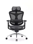 Эргономичное кресло SIHOO C300