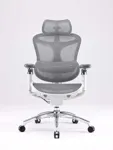 Эргономичное кресло SIHOO C300