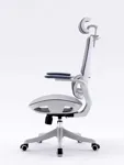 Эргономичное кресло SIHOO M59AS