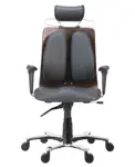 Ортопедическое офисное кресло Executive Chair DD-150
