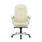 Кресло руководителя Bruny