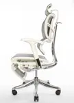 Эргономичное кресло с  ортопедической спинкой Expert Fly