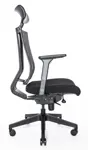 Эргономичное сетчатое кресло Falto G1