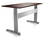 Ergostol Duo Венге