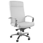 Эргономичное кресло руководителя MILAN 10