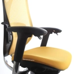 Ортопедическое кресло руководителя Sabrina