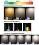 Настольная LED лампа Ergotronic DE1718
