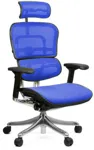 Компьютерное кресло Ergohuman PLUS