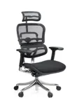 Компьютерное кресло Ergohuman PLUS