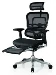Компьютерное кресло Ergohuman PLUS Legrest