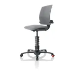 Компьютерное эргономичное кресло Swopper 3Dee