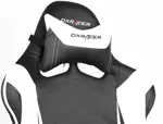 Компьютерное кресло DxRacer Racing RE0