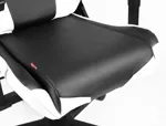 Компьютерное кресло DxRacer Racing RE0