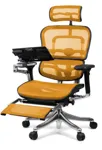 Компьютерное кресло Ergohuman Station